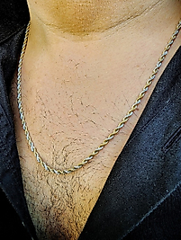 Erkek Burgu Model Çelik Kolye Altın - Gümüş